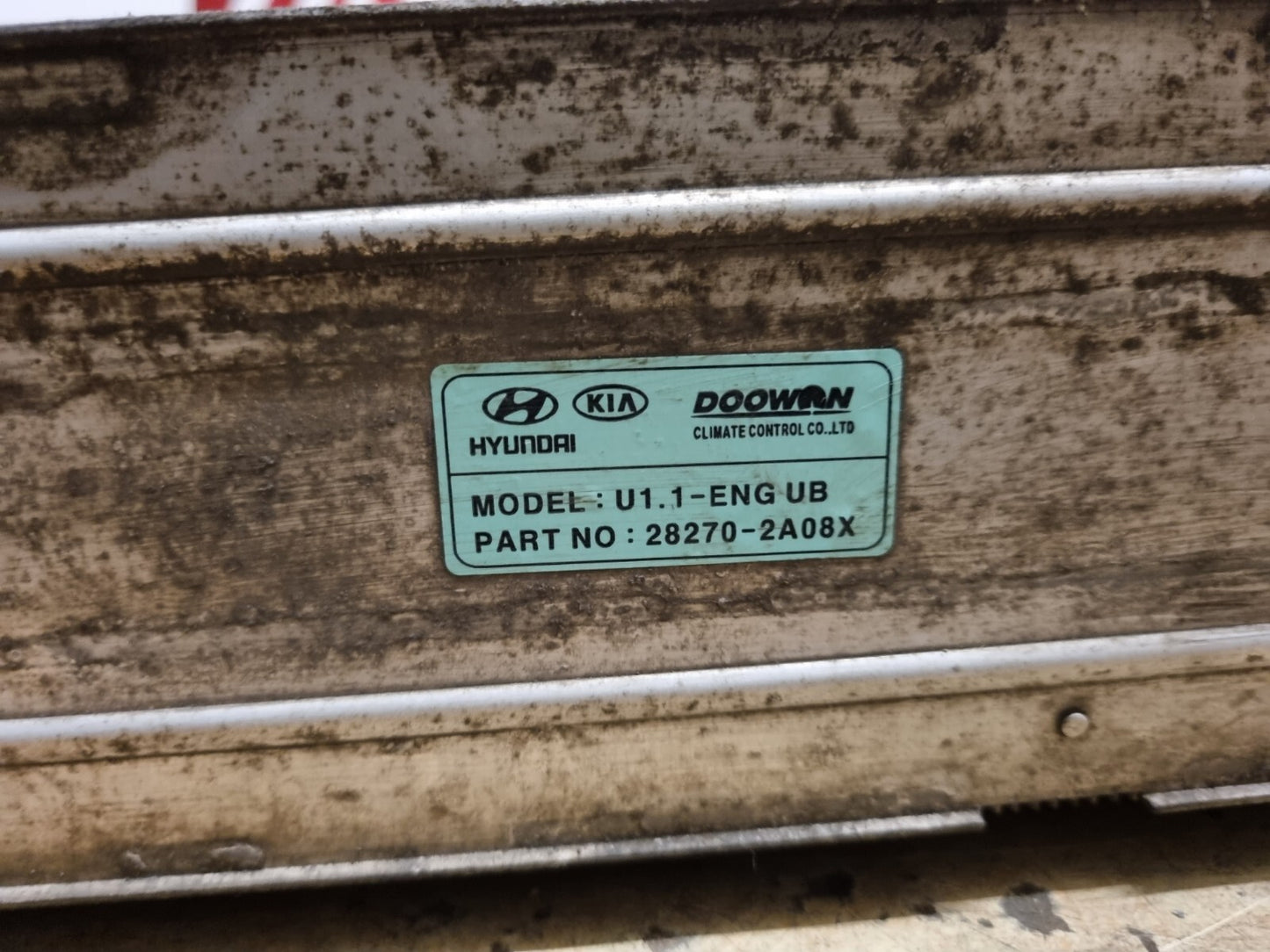 44482439
