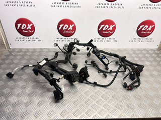 Hyundai Kona N (OS) 2021-2023 2.0 T-gdi G4KH Engine Wiring Loom 91400-I3011 - photo 1 of 11