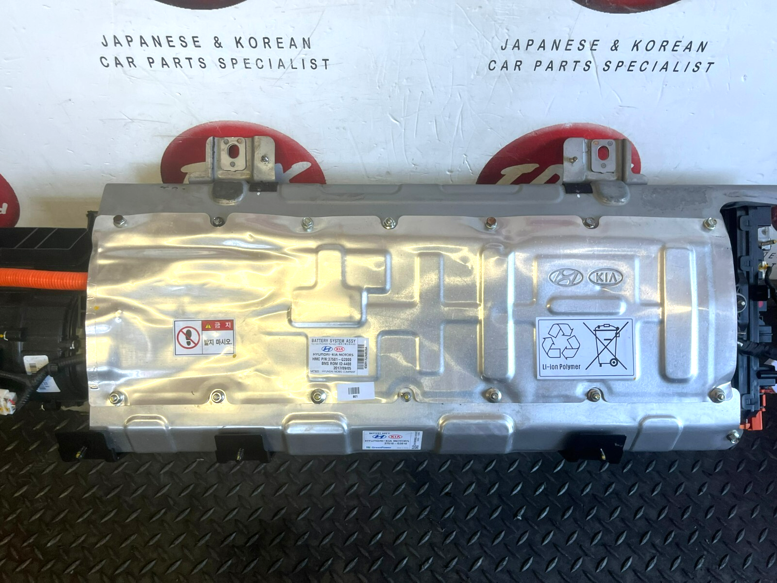 44625034