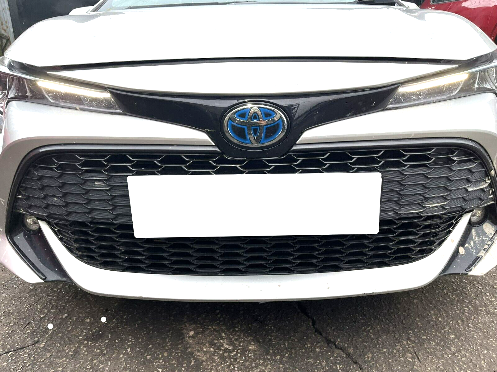 45155994