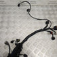 HYUNDIA IONIQ AE 2016-2019 1.6 HYBRID GENUINE ENGINE WIRING LOOM HARNESS G4LE