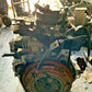 45156299