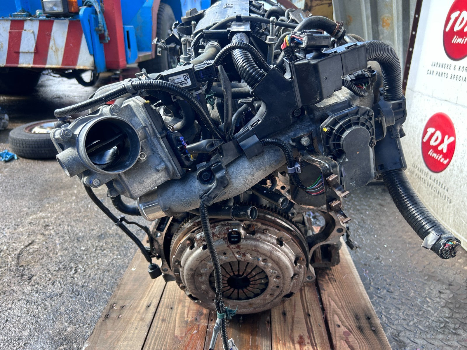 47779569