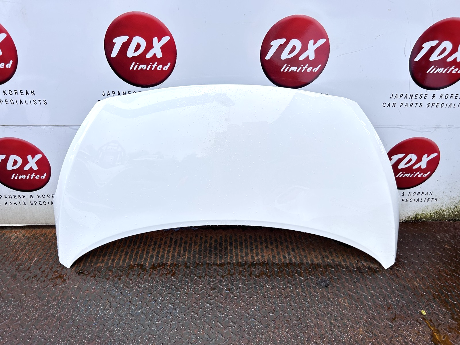 47240023