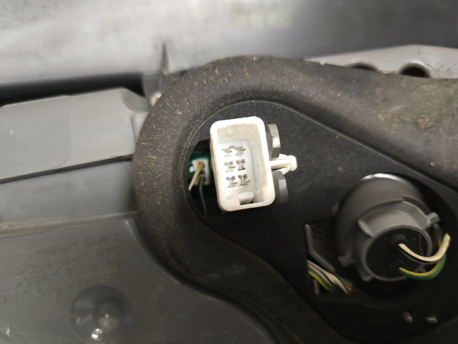 44404269