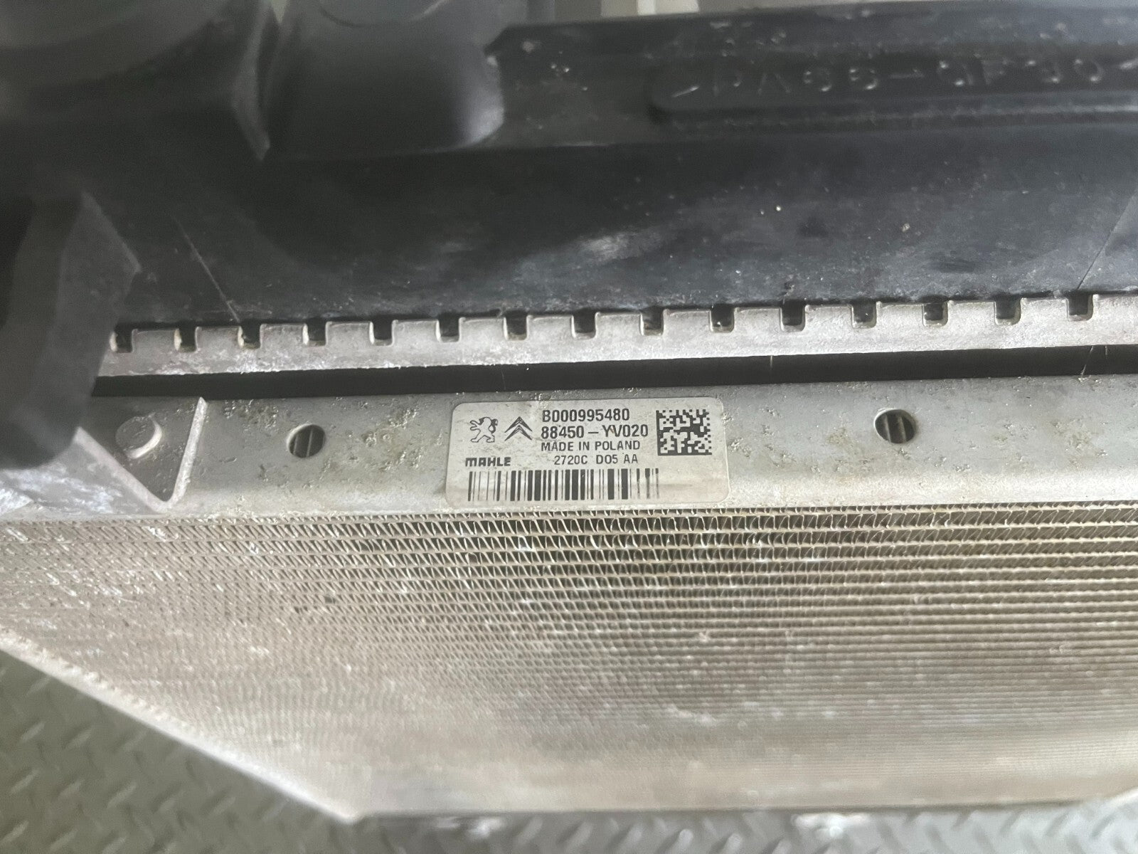 45115019