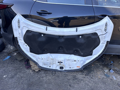 Honda Cr-V Mk4 2013-2018 Genuine Front Hood Bonnet White Orhcid Pearl Nh788P 9