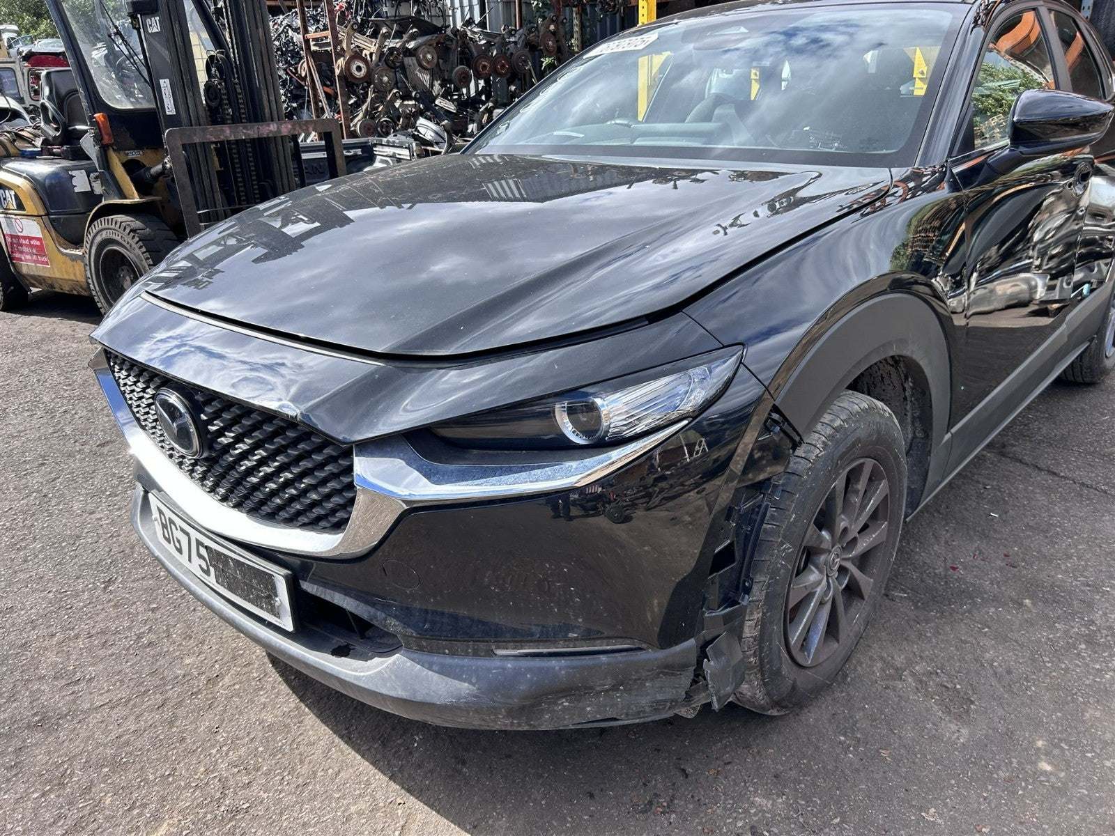 47540040