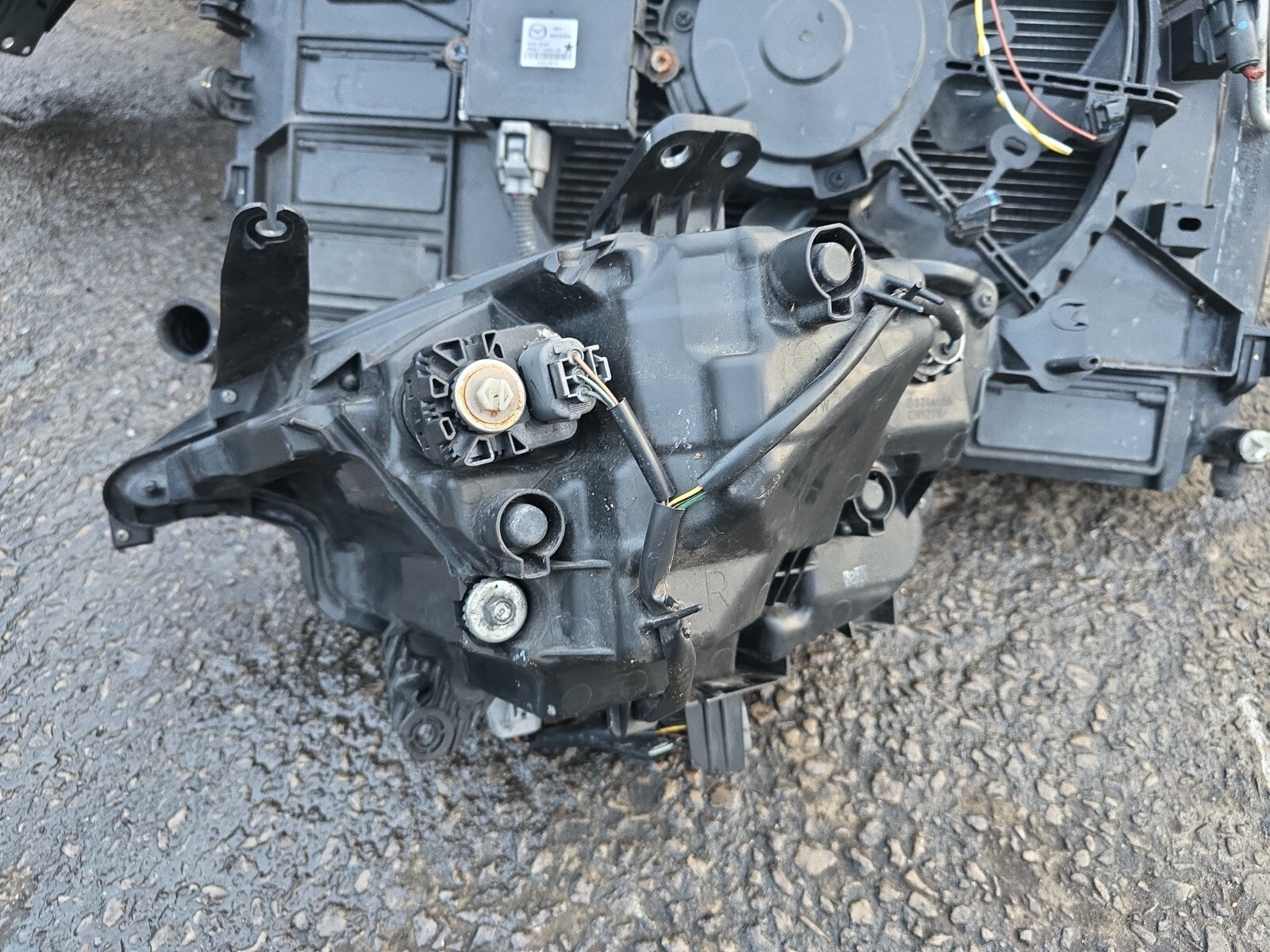 45155979
