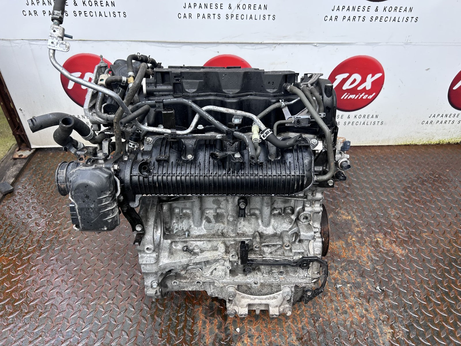 47015239