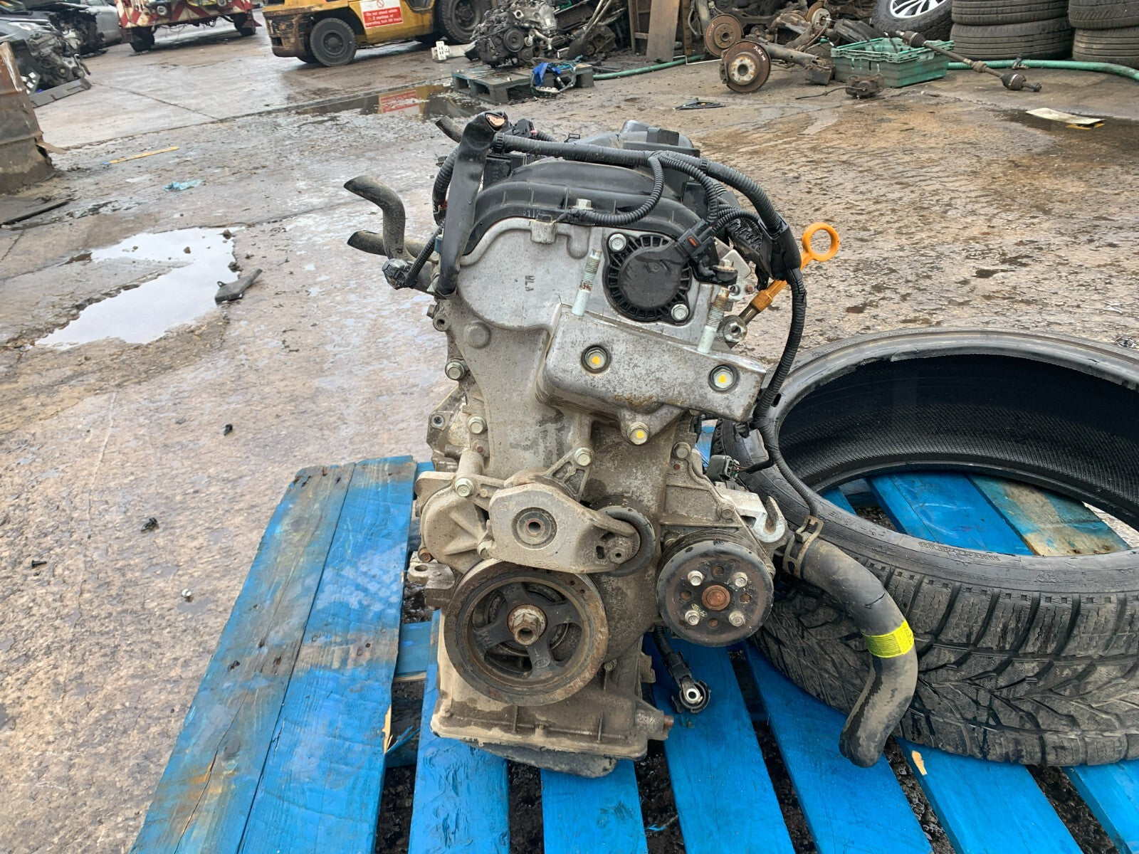 45156307