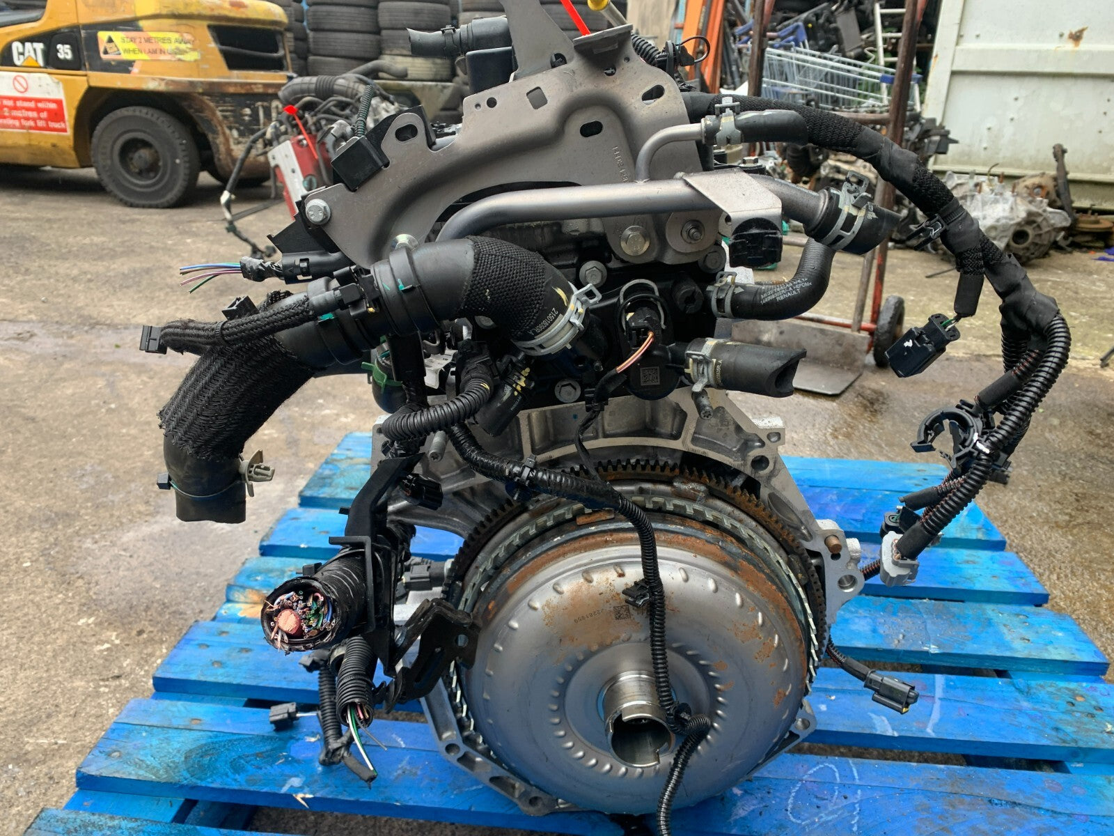 45156289