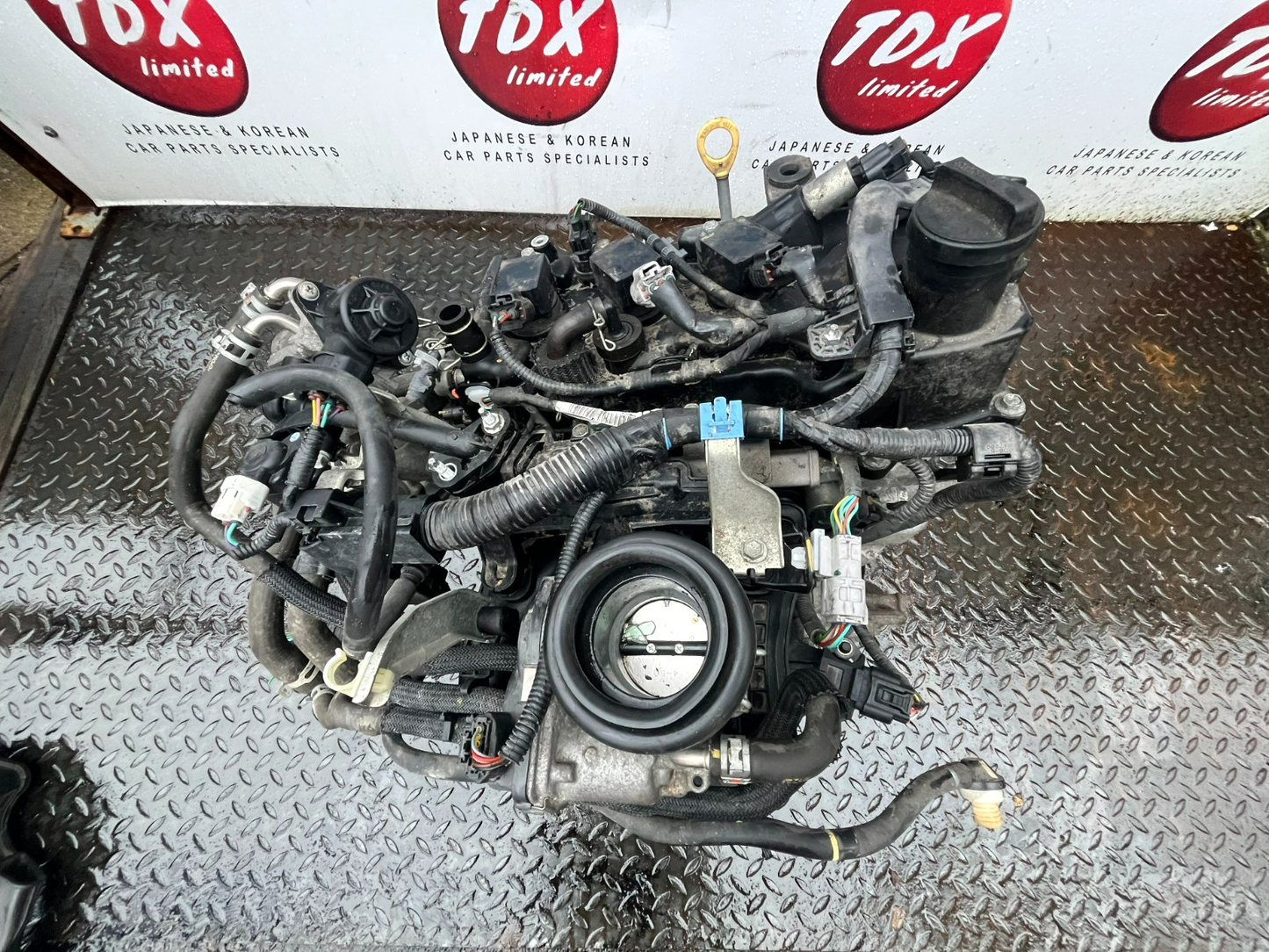 46284517
