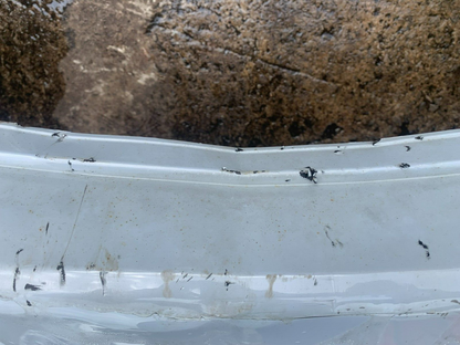 HYUNDAI I30N PERFORMANCE 2017-2020 GENUINE REAR BUMPER BLUE COLLECTION