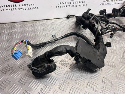 47855058