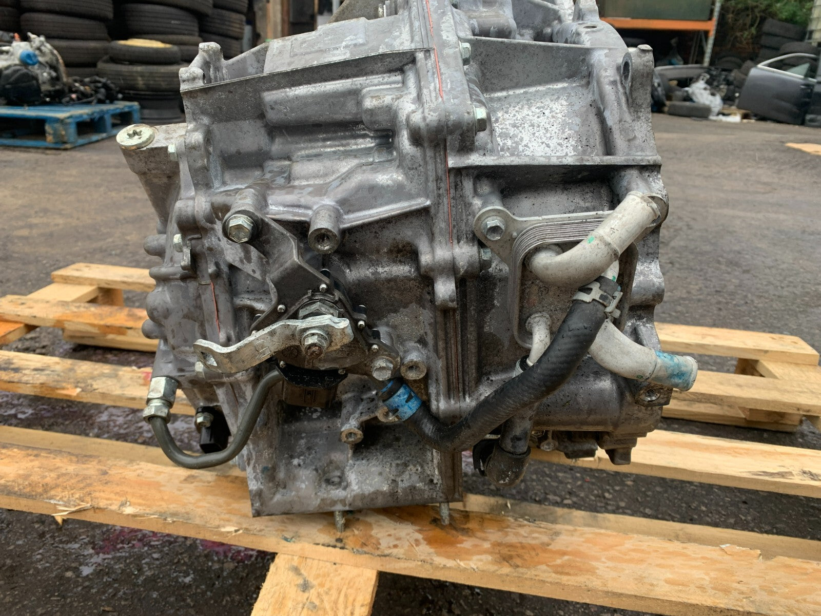45155881