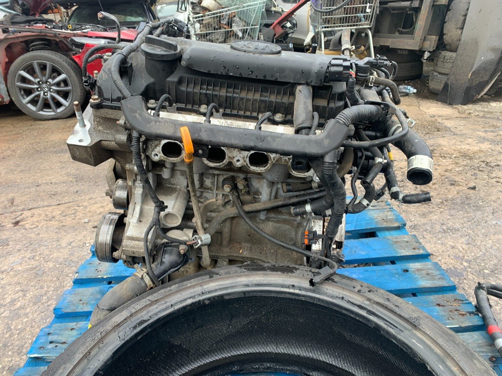 45156307
