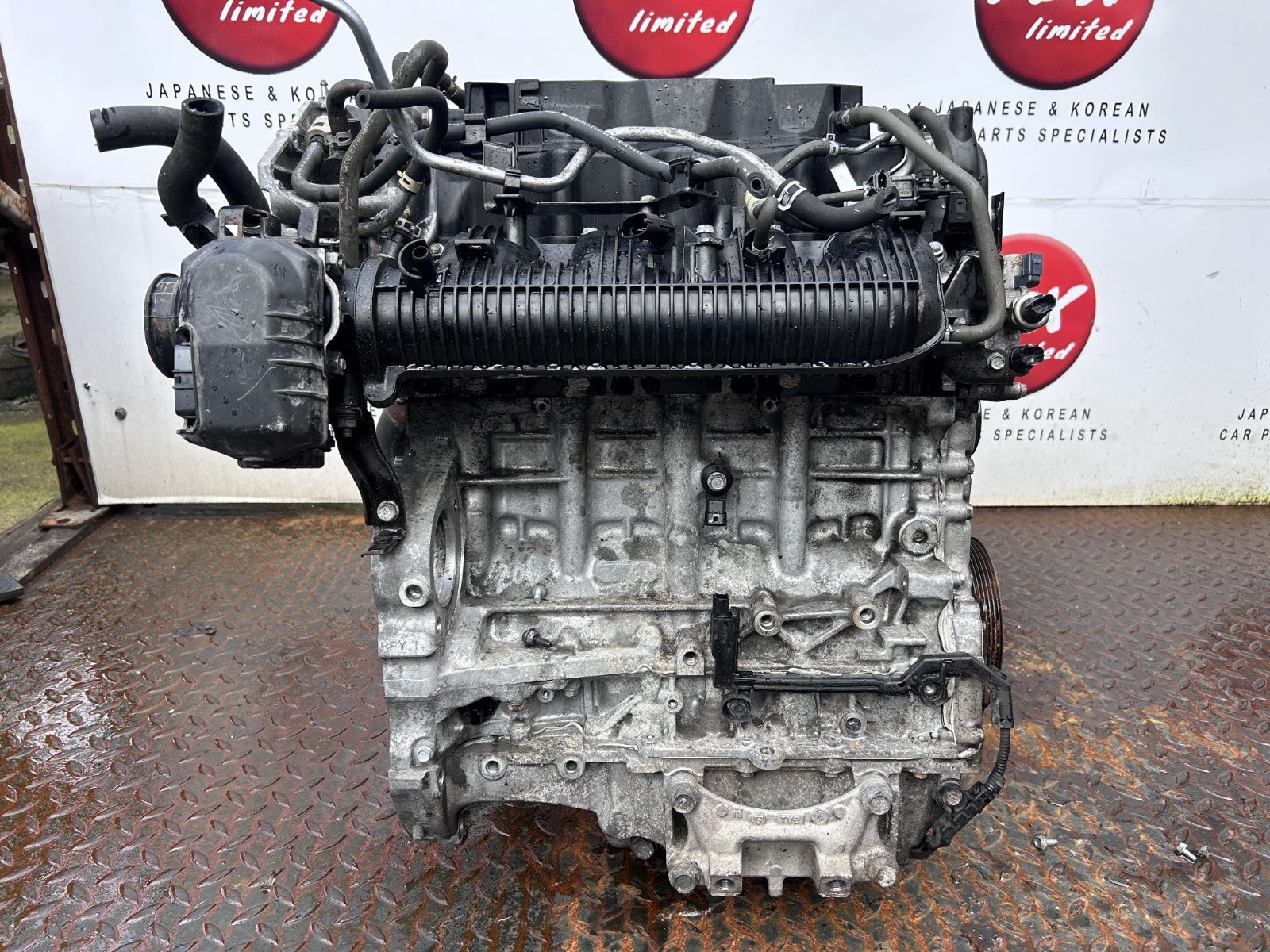 47015239