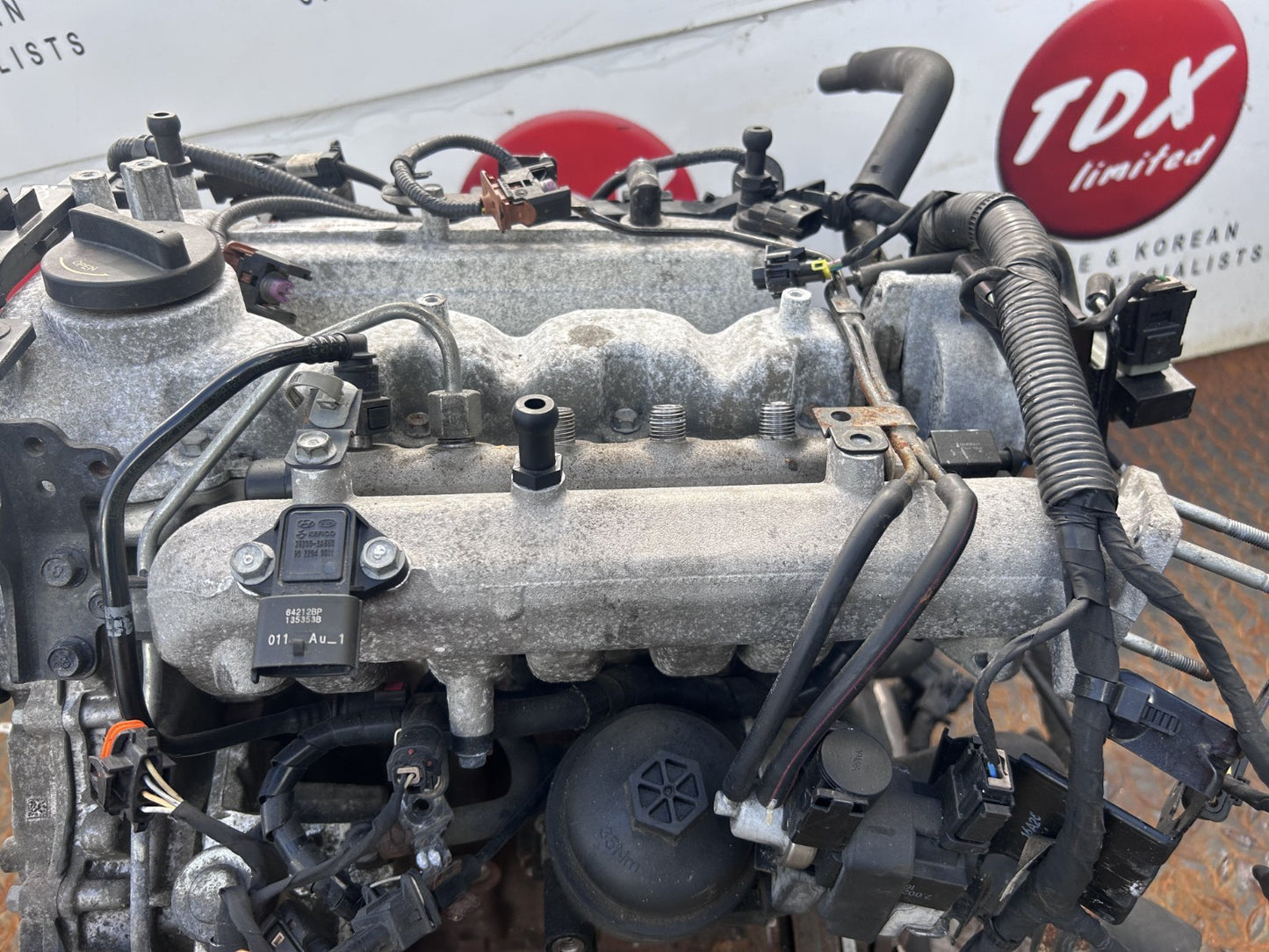 47076678