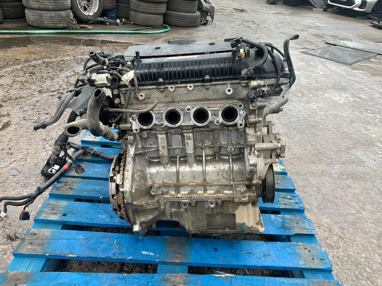 45156307