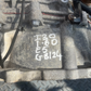 44808496