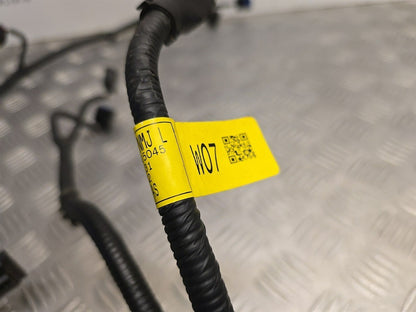 47551361