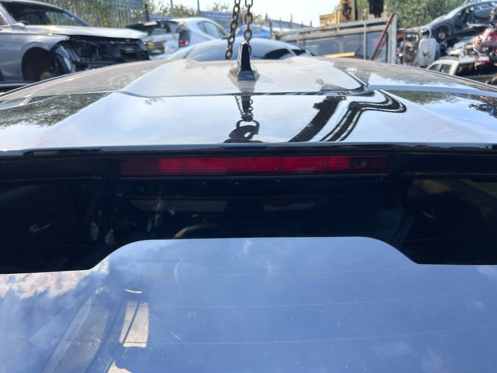 47555159