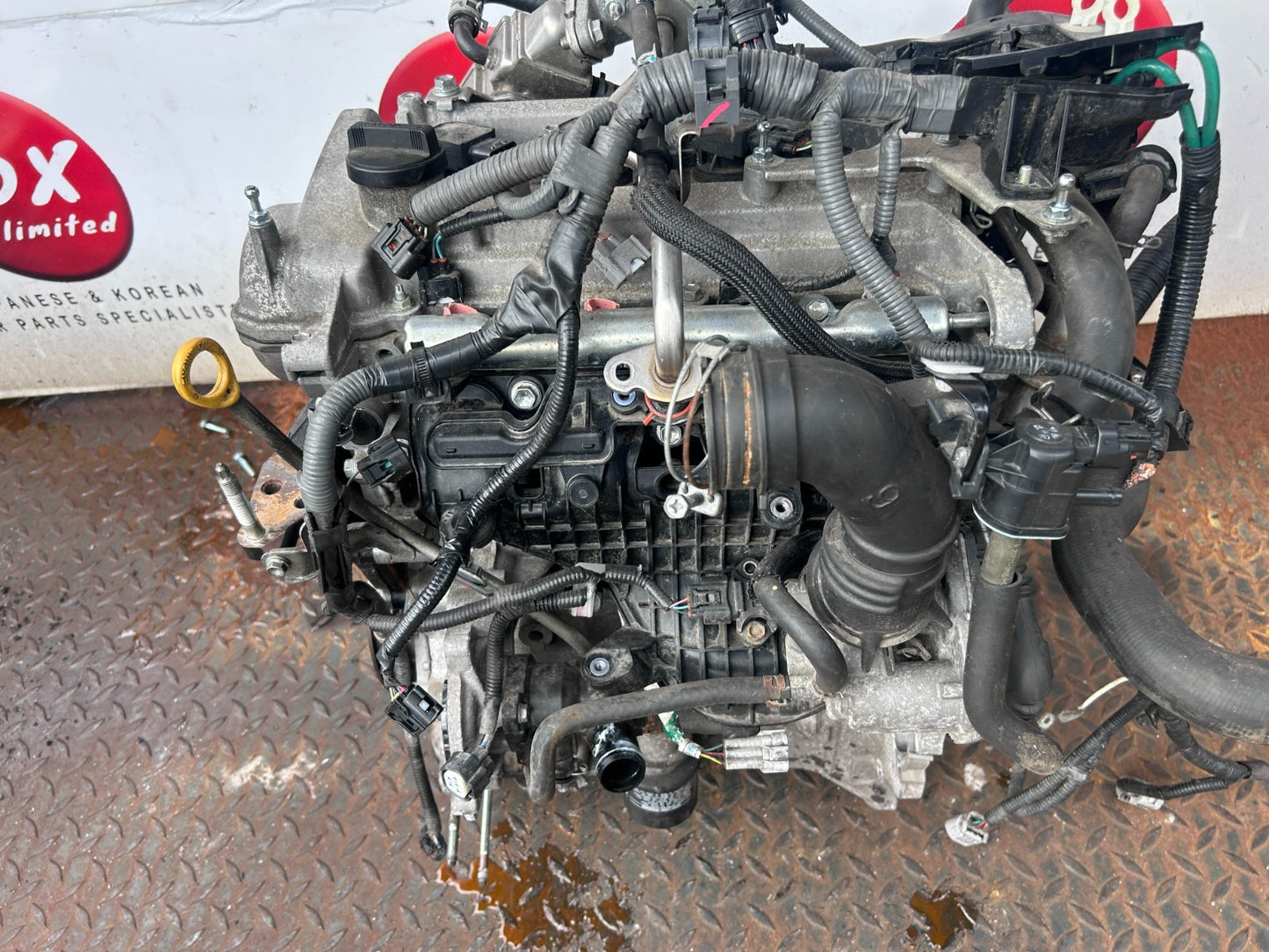 47486484